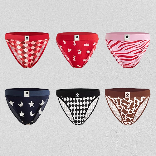 Women Split Brief (9072713531672)