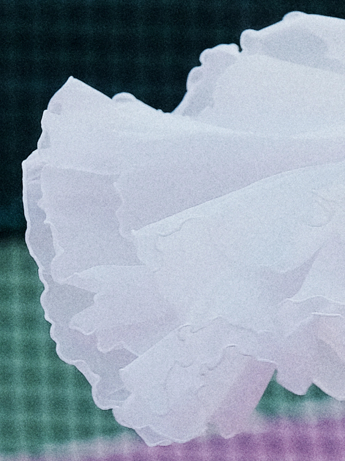 Macro detail of Pom Pêche white Petal Tiered Skirt showing three-tier lightweight chiffon layers with scalloped petal edges – soft, breathable and quick-drying performance fabric